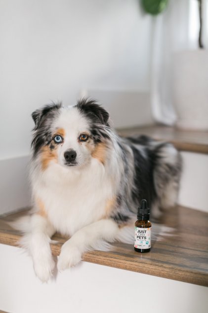 CBD Syrup